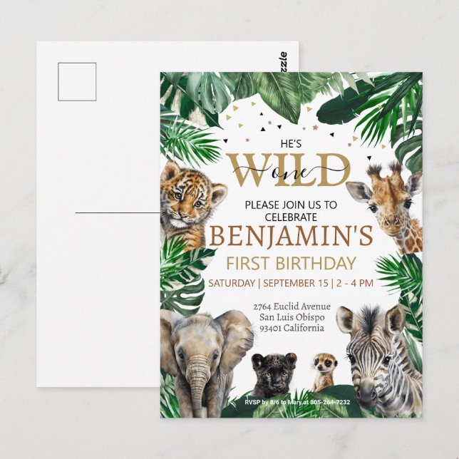 Cartão Postal Animais de Safari de Festa de Aniversário na Selva (Frente/Verso)