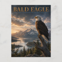 Animais do Lago Bald Eagle Mountain