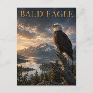 Cartão Postal Animais do Lago Bald Eagle Mountain