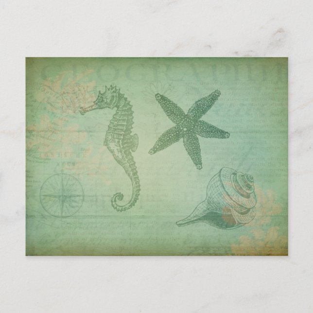 Cartão Postal Animais do Oceano Vintage e conchas (Frente)