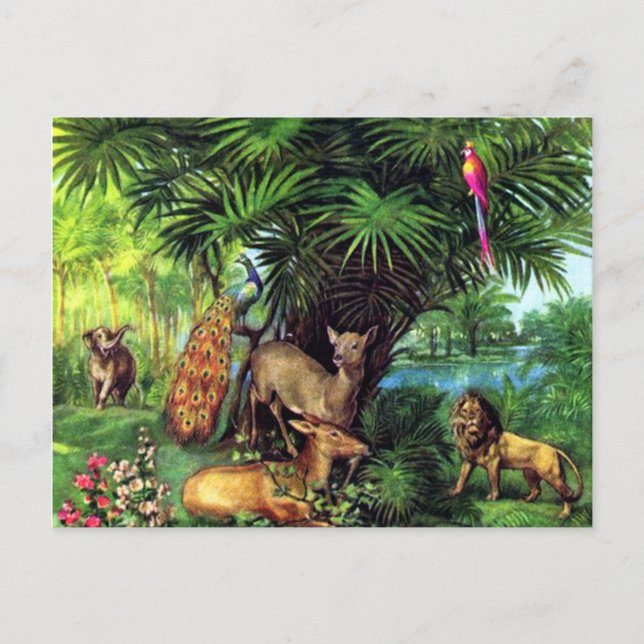 Cartão Postal Animais do vintage (Frente)