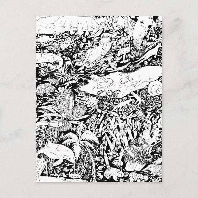 Cartão Postal Animais em Paz (Frente)