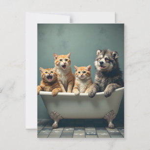 Cartão Postal Animais engraçados na banheira