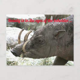 Cartão Postal Animais feios, Babirusa