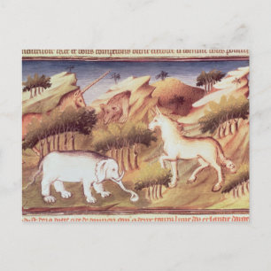 Cartão Postal Animais míticos na natureza