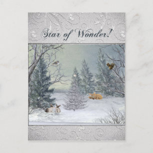Cartão Postal Animais na Floresta de inverno, Árvore com Estrel