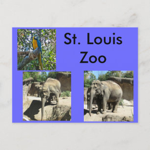 Cartão Postal Animais no Zoológico