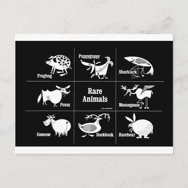 Cartão Postal Animais Raros (Frente)
