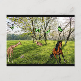 Cartão Postal Animais Selvagens