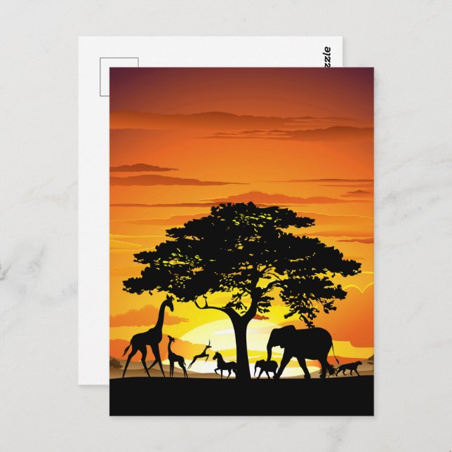 Cartão Postal Animais Selvagens no Sunset da savana africana (Frente/Verso)