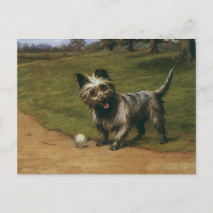 Cartão Postal Animais Vintage Cães, Cachorrinho Fofo Scottish Te