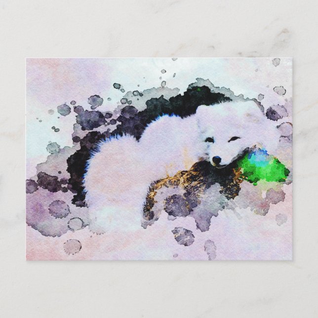 Cartão Postal *~* Animal AP18 Snow Fox White Artic Fox (Frente)