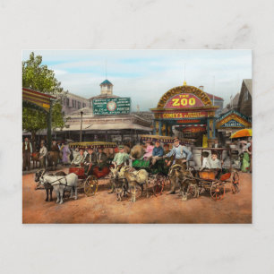 Cartão Postal Animal - Caprinos - Coney Island NY - Rides infant