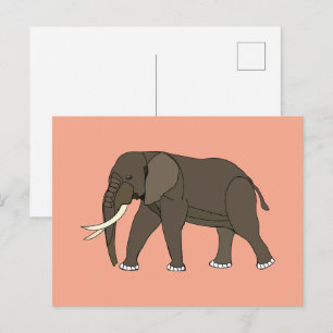 Cartão Postal Animal Elefante