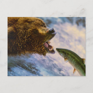 CARTÃO POSTAL ANIMAL SELVAGEM PEIXE URSO POSTCROSSING