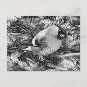 Cartão Postal AnimalArtBW_Bird 001 -Bullfinch
