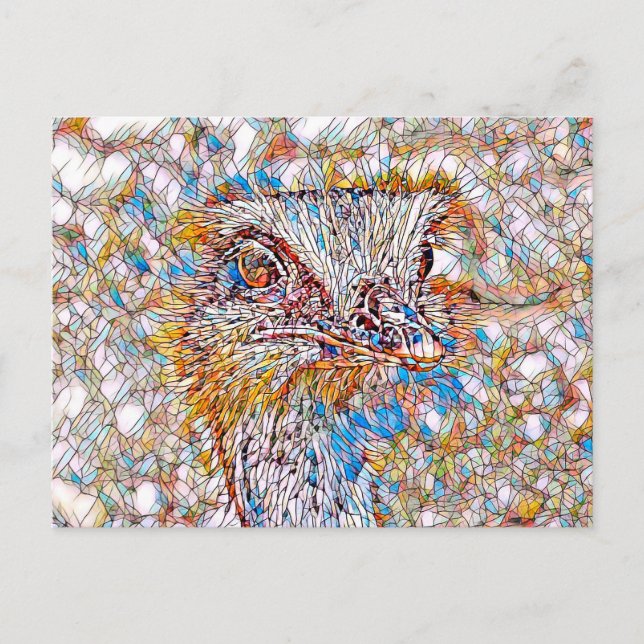 Cartão Postal AnimalMix_Bird_042 (Frente)