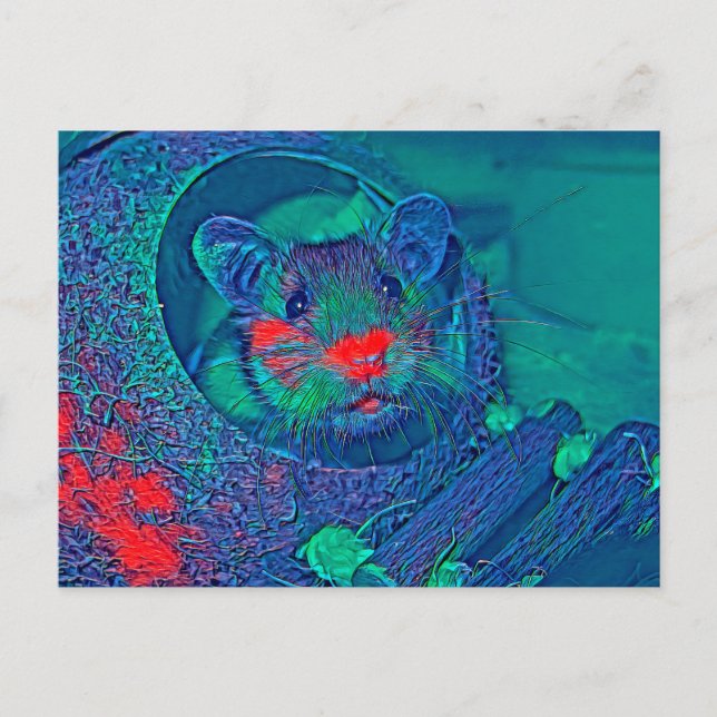 Cartão Postal AnimalMix_Hamster_005 (Frente)