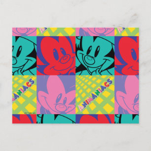 Cartão Postal Animaniacs   Irmãos Warner Gráfico de Arte Pop