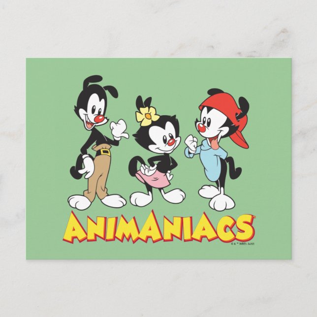 Cartão Postal Animaniacs | Yakko, Dot e Wakko em Pé (Frente)