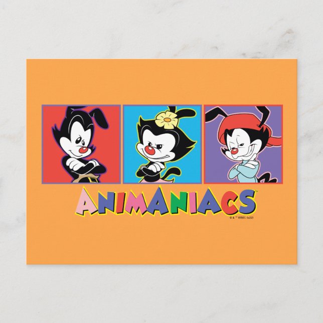 Cartão Postal Animaniacs | Yakko, Dot, & Wakko Panel Graphic (Frente)