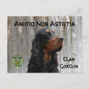 Cartão Postal Animo Non Astutia, Gordon Setter Postcard