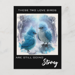 Cartão Postal *~* Aniversário da AP54 PHOTO Pássaros de Amor Fof