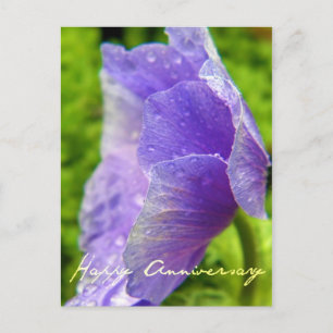 Cartão Postal Aniversário da Flor Roxo