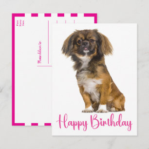 Cartão Postal Aniversário de Cachorrinho Pekingese Fofo