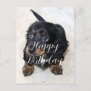 Cartão Postal Aniversário de cachorrinho preto fofo Dachshund