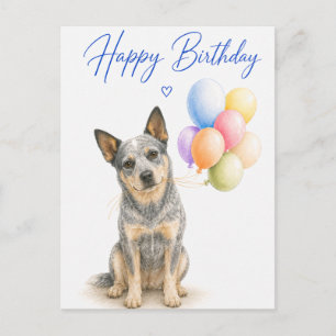Cartão Postal Aniversário do Australian Cattle Dog