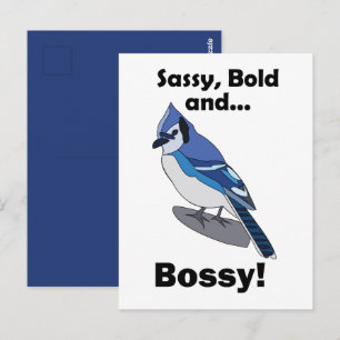 Cartão Postal Aniversário do Pássaro Azul Sassy Ousado Autoritár