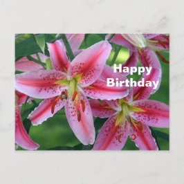 Cartão Postal Aniversário Floral Foto de Lírio Rosa Bonito
