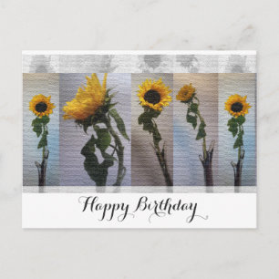 Cartão Postal Aniversário Girassol