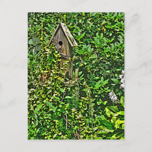 Cartão Postal Aniversário no Jardim