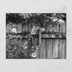 Cartão Postal Aniversário no Verão