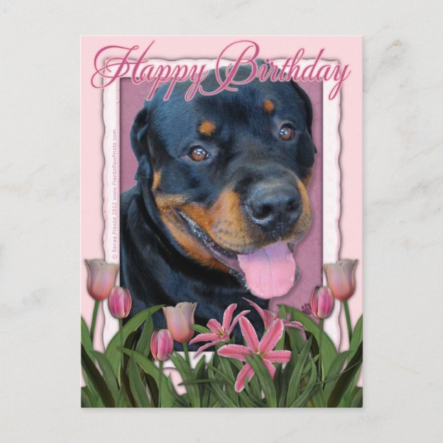 Cartão Postal Aniversário - Tulipas Rosa - Rottweiler - Harley (Frente)