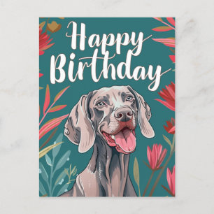 Cartão Postal Aniversário Weimaraner