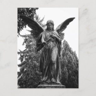 Cartão Postal Anjo Com Asas Espalhadas Segurando Uma Flor