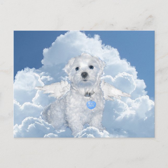 Cartão Postal Anjo de resgate maltês (Frente)