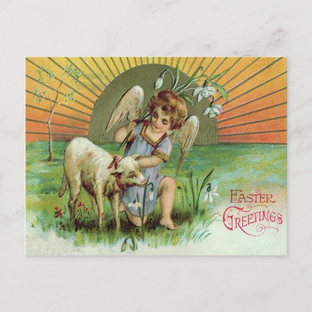 Cartão Postal Anjo Querubim Sol Cordeiro Ovelha (Frente)
