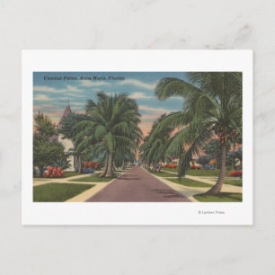 Cartão Postal Anna Maria, Flórida - Visão de Palms Along Stree