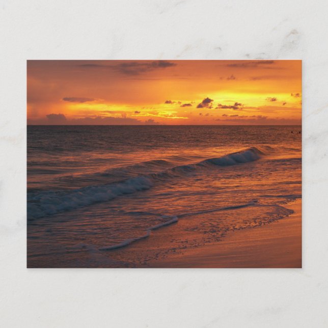 Cartão Postal Anna Maria Island, FL (Frente)