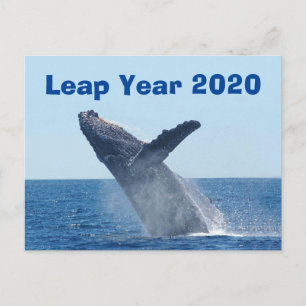 Cartão Postal Ano Bissexto 2020