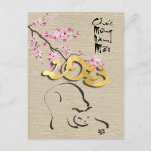 Cartão Postal Ano Novo Vietnamita do Gato HPostC