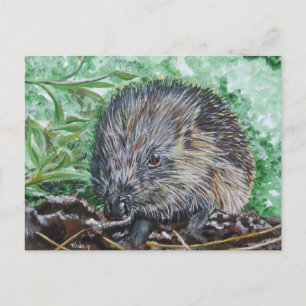 Cartão Postal Ansichtkaart Egel.