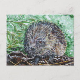 Cartão Postal Ansichtkaart Egel.