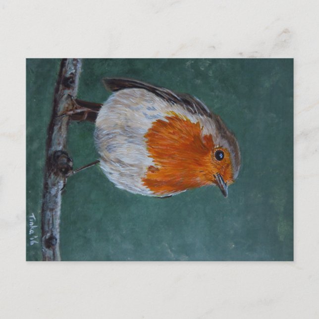 Cartão Postal Ansichtkaart Roodborst. Briefkaart (Frente)