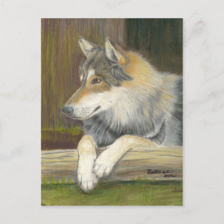 Cartão Postal Ansioso para ser livre