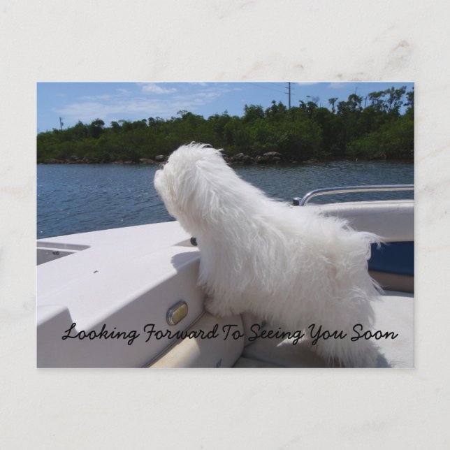 Cartão Postal Ansioso para Ver Você Em Breve (Frente)